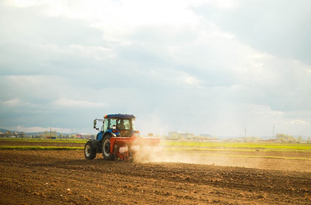 ¿Qué tan competitiva es Argentina para producir granos? Una comparación internacional de precios de insumos agropecuarios