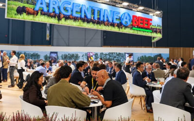 Argentina refuerza la trazabilidad de su carne premium para el mercado europeo (artículo traducido al inglés)