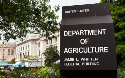 Mazazo bajista del USDA: un informe inesperado hundió al maíz y arrastró también al trigo Mazazo bajista del USDA: un informe inesperado hundió al maíz y arrastró también al trigo