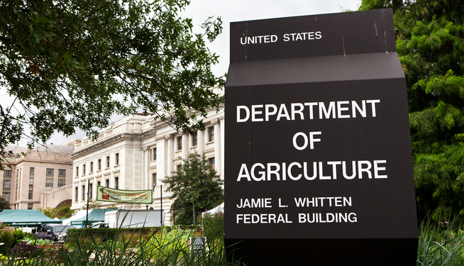 Mazazo bajista del USDA: un informe inesperado hundió al maíz y arrastró también al trigo