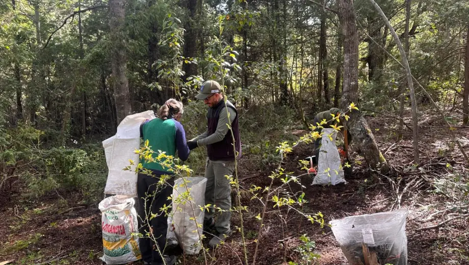 Microorganismos del bosque para fortalecer cultivos: una experiencia que crece en la Comarca