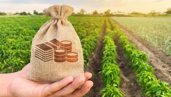 Financiarse para sembrar en la campaña 2026/27: qué tasas pagan los productores en dólares y en pesos