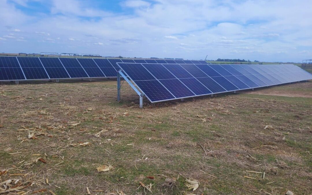 Riego con energía solar: así funciona el sistema autónomo que permite regar 12 hectáreas sin depender de la red eléctrica