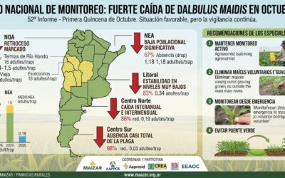 Las lluvias y la amplitud térmica arrasaron las poblaciones de chicharritas en todo el país, y las condiciones son mejores que las de hace un año. Igual, no monitorear ya no es opción Las lluvias y la amplitud térmica arrasaron las poblaciones de chicharritas en todo el país, y las condiciones son mejores que las de hace un año. Igual, no monitorear ya no es opción