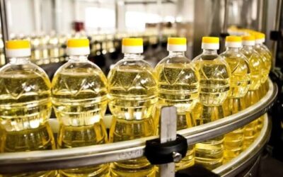 Aceites vegetales: la fuerte demanda de India lleva las exportaciones argentinas a un récord histórico Aceites vegetales: la fuerte demanda de India lleva las exportaciones argentinas a un récord histórico