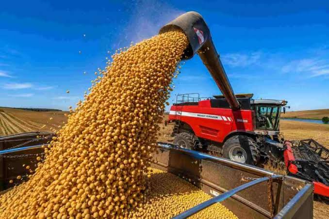 Los granos ya son biomasa: los biocombustibles parten el mercado y separan los precios entre orígenes