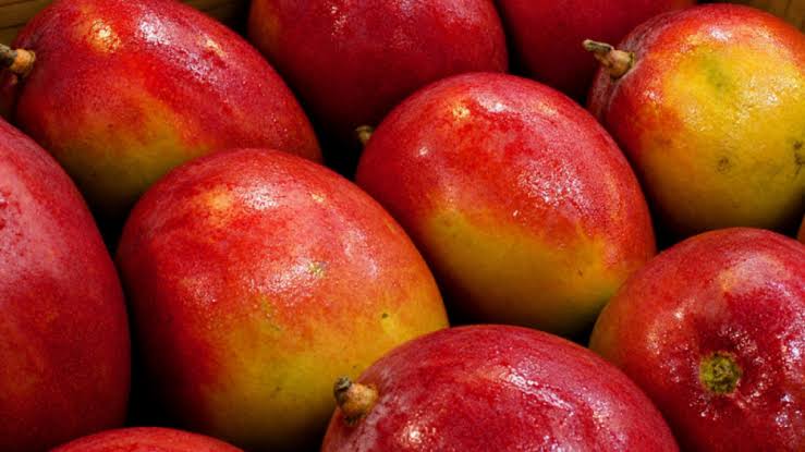 La irradiación se perfila como aliada fitosanitaria para exportar productos vegetales