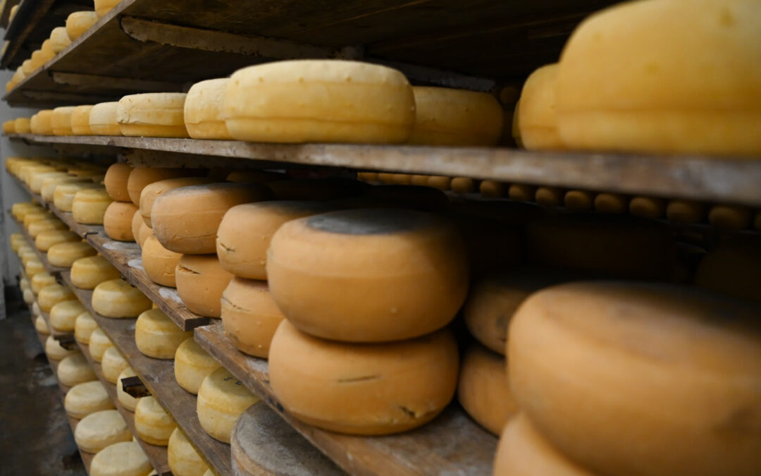 Argentina recibió 60 auditorías sanitarias que consolidan su posicionamiento como exportador agroindustrial de nivel mundial