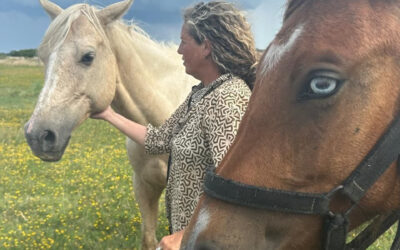 Equinomancia: un día con caballos para volver a uno mismo y reencontrarse con la historia de mamá en Madariaga Equinomancia: un día con caballos para volver a uno mismo y reencontrarse con la historia de mamá en Madariaga