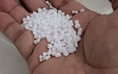 Se retobaron” los chinos y los precios de la urea revirtieron la tendencia bajista Se retobaron” los chinos y los precios de la urea revirtieron la tendencia bajista