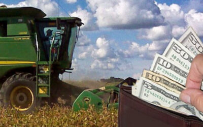 Radiografía sobre cómo se financió la campaña agrícola en el ciclo actual Radiografía sobre cómo se financió la campaña agrícola en el ciclo actual