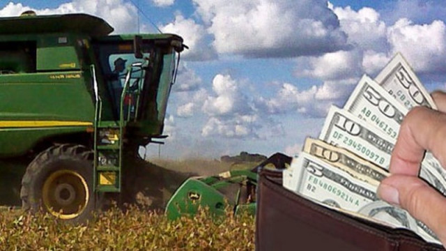 Radiografía sobre cómo se financió la campaña agrícola en el ciclo actual