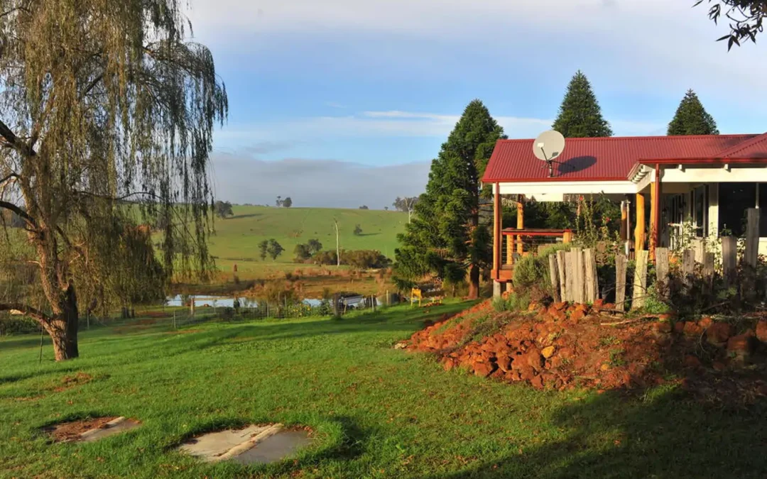 Cómo vivir gratis en una granja ecológica de Australia a cambio de recolectar castañas y cuidar la naturaleza
